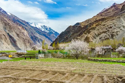 Shyok Valley