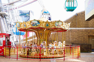 Ak4hnwu4luf5qebtz473gl2idkec miramar 4