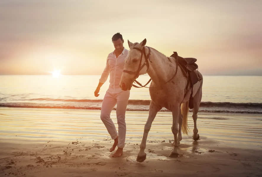 Horseback Riding