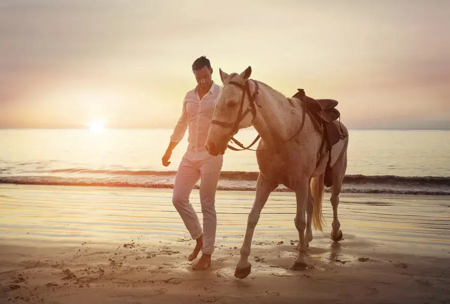 Horseback Riding