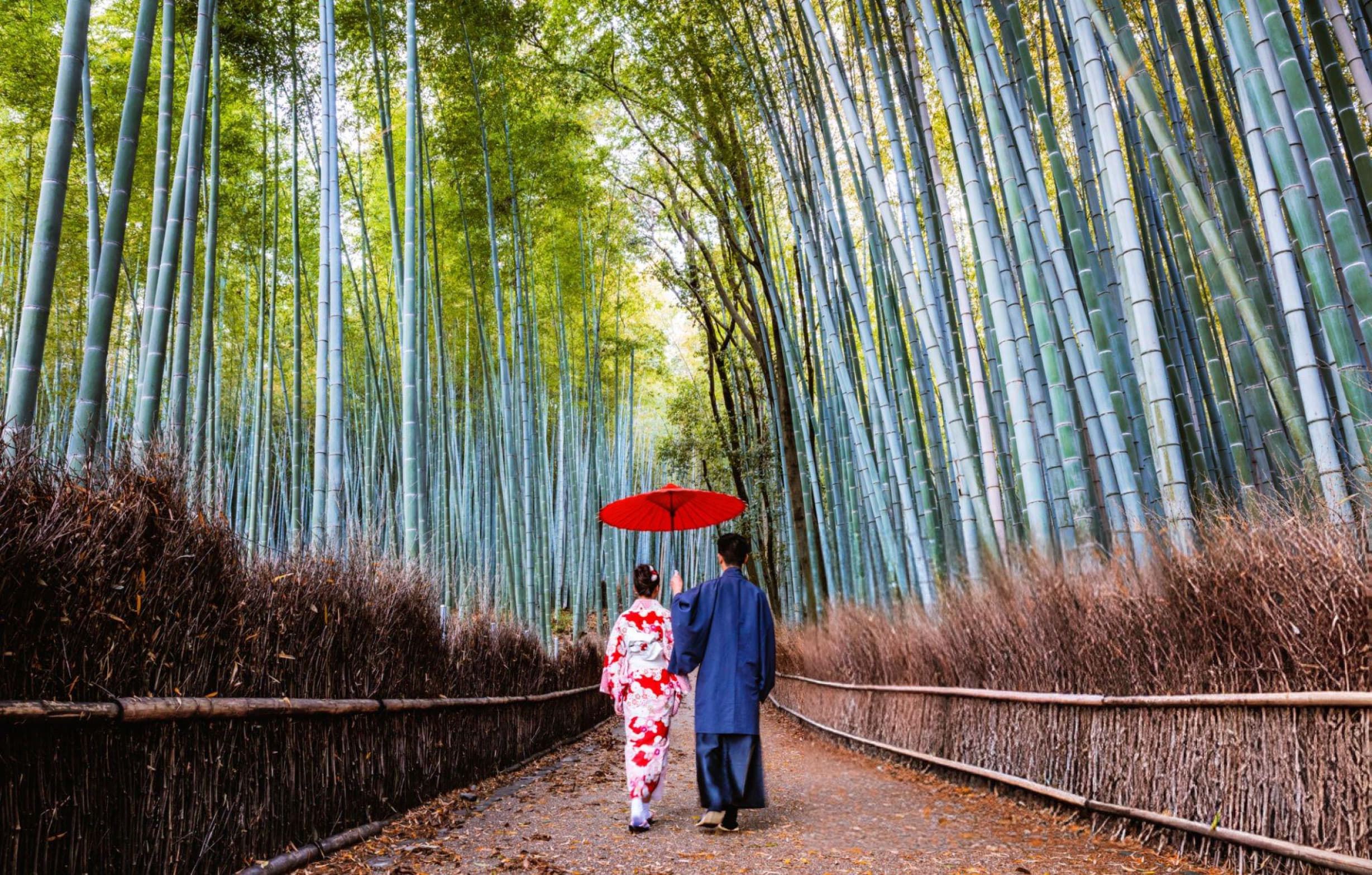 Best of Japan | Ancient Shrines to Futuristic Skylines