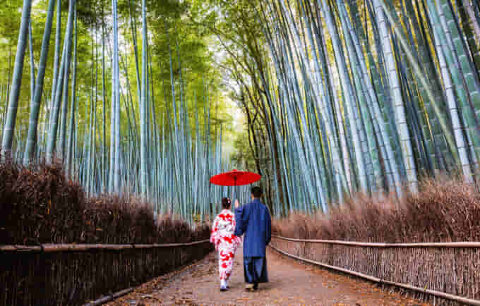 Couple at bamboo forest in Kyoto