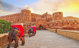 Akhiyp4z8r65gg0u5j3jklhhriqf 1589547711 1589312374 agra fort.jpg