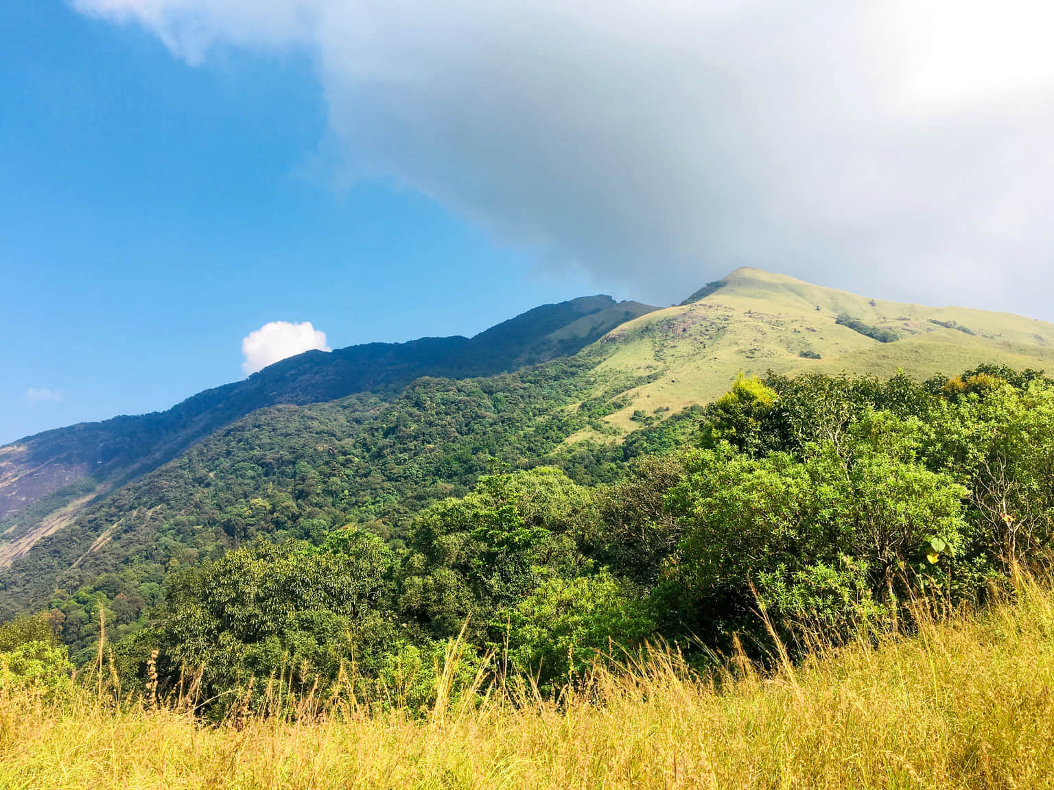 Pushpagiri Hill, <em>Coorg</em>