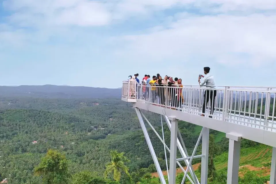 Panoramic Views of Lush Greenery