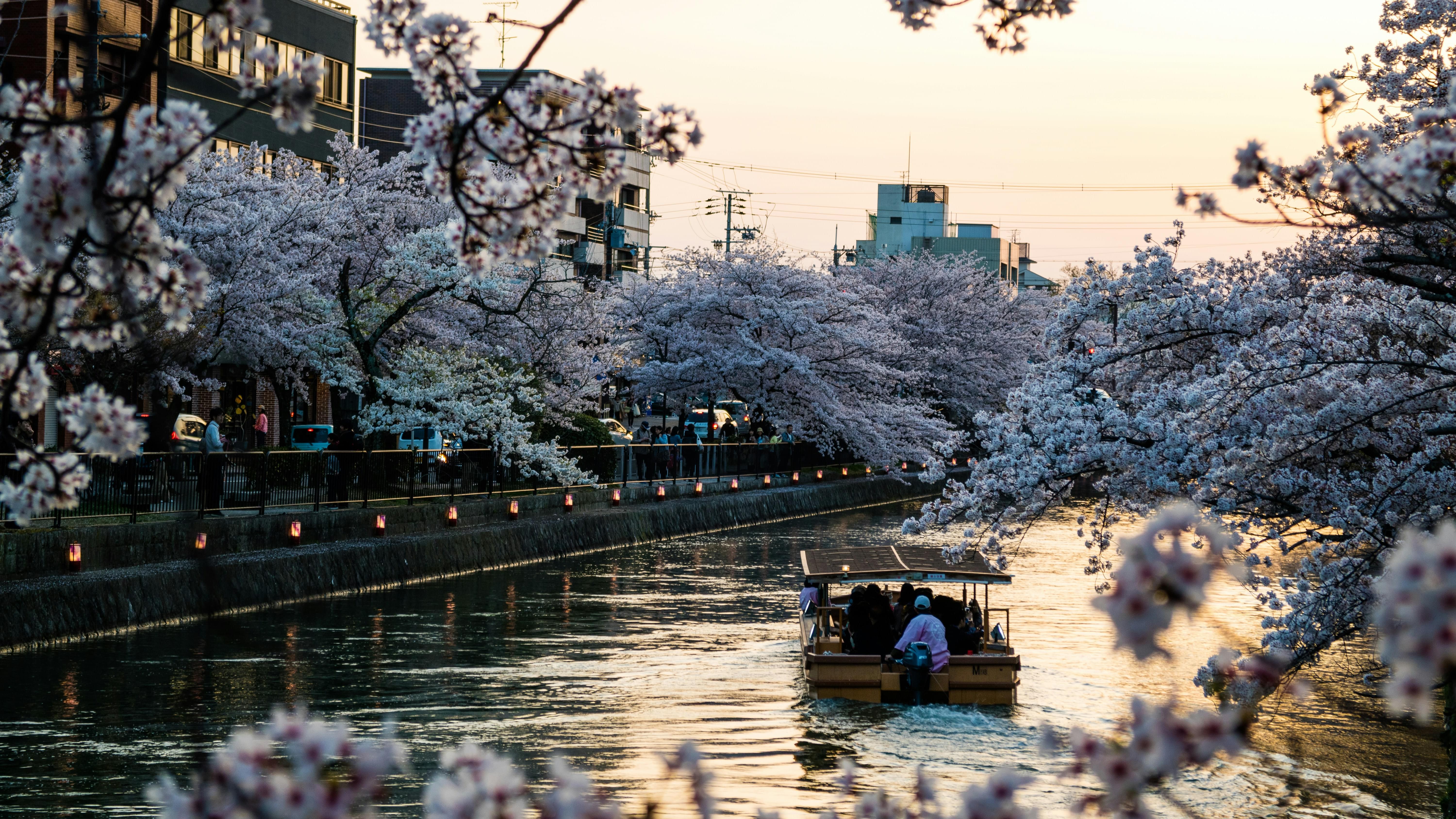 Kyoto Tour Packages | Upto 50% Off April Mega SALE