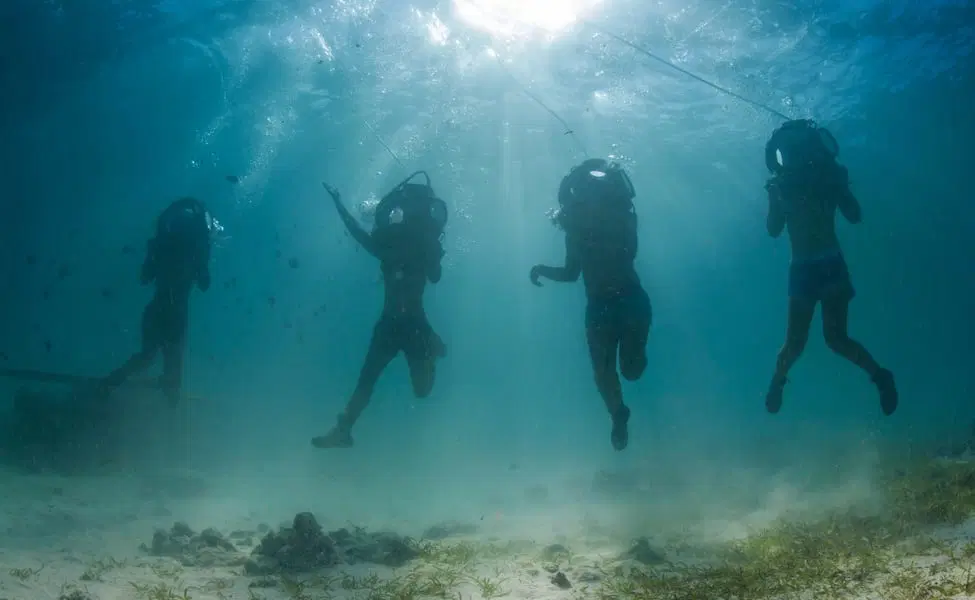Sea Walking