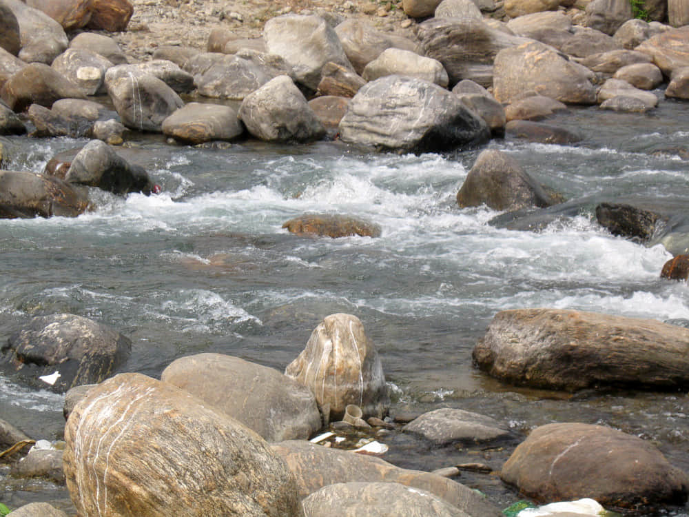 Dudhia, <em>Siliguri</em>