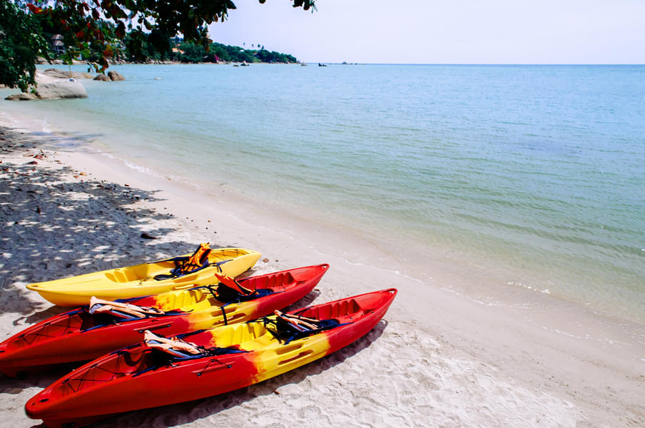 City Sightseeing Kayak Tour Image