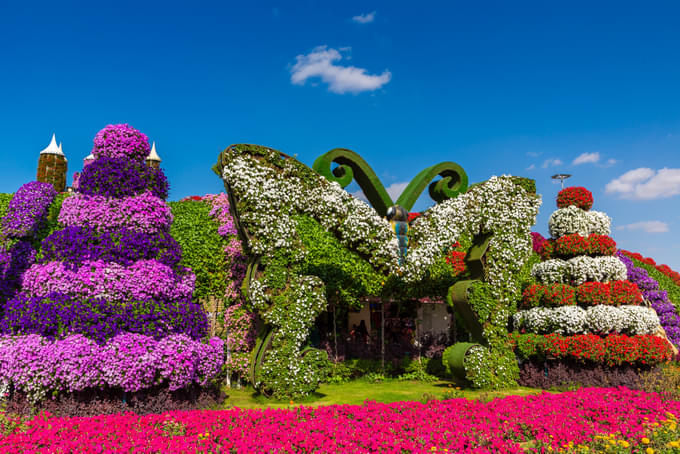 Dubai Butterfly Garden