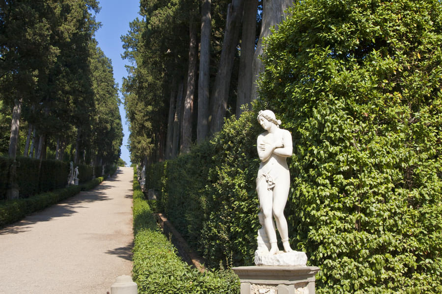 Immerse yourself in the beauty of the Boboli Gardens of Pitti Palace