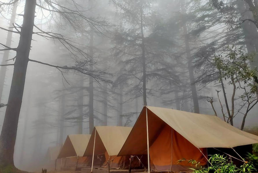 Camping In Mcleodganj With Activities Image