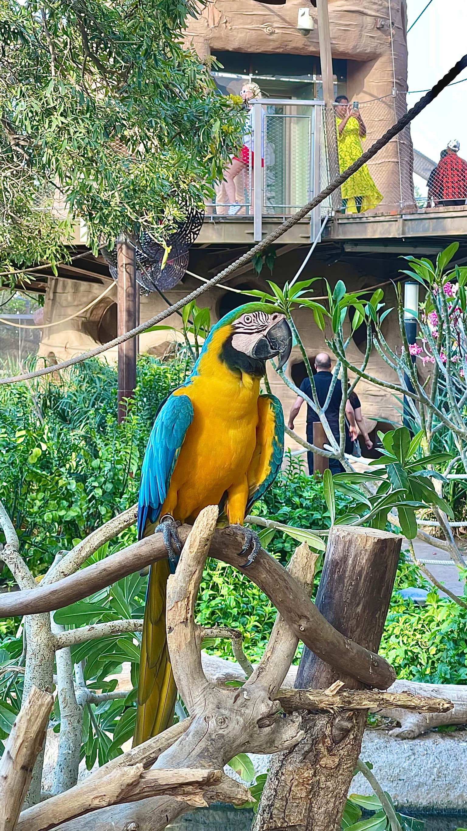Photo from AMEEN ALBARRAK's trip
