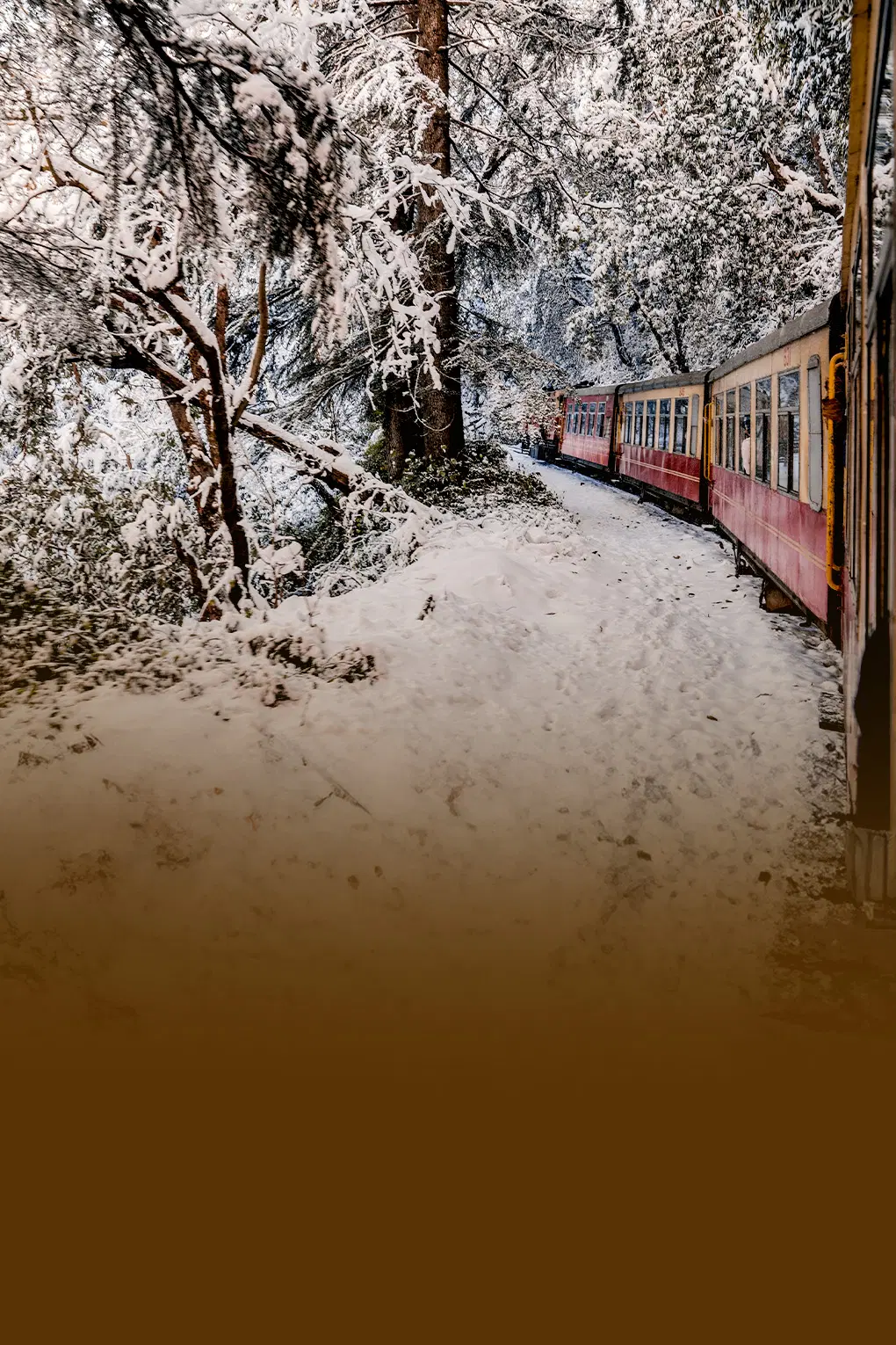 Shimla Manali from Delhi
