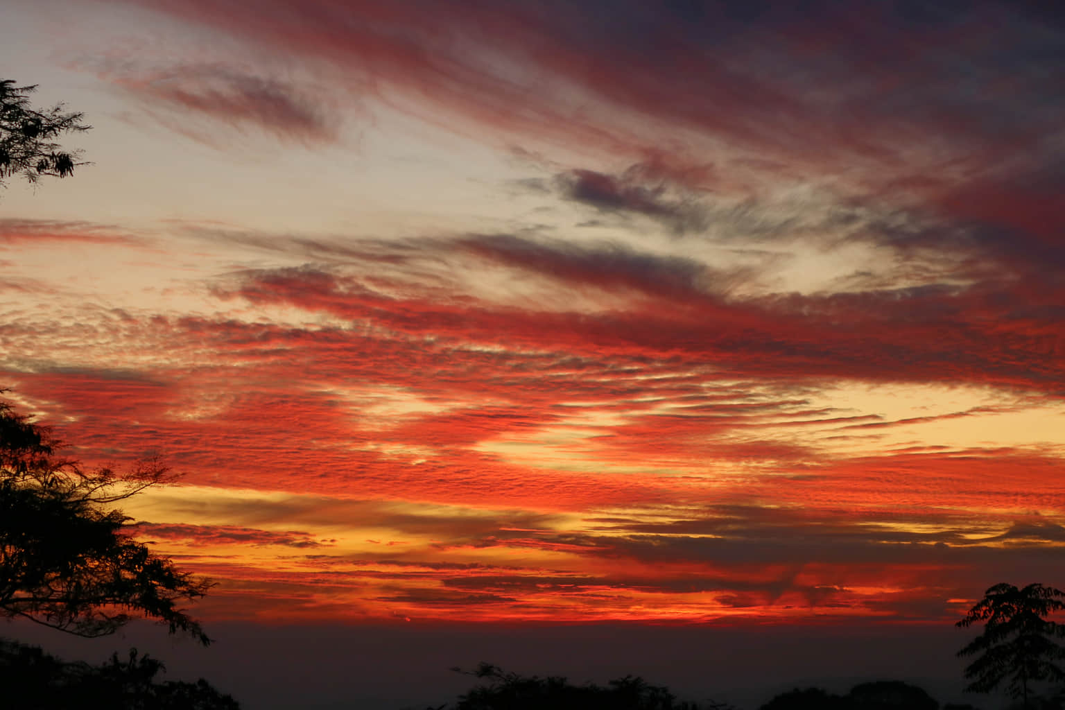 Photo from Dhananjay Dhananjay's trip