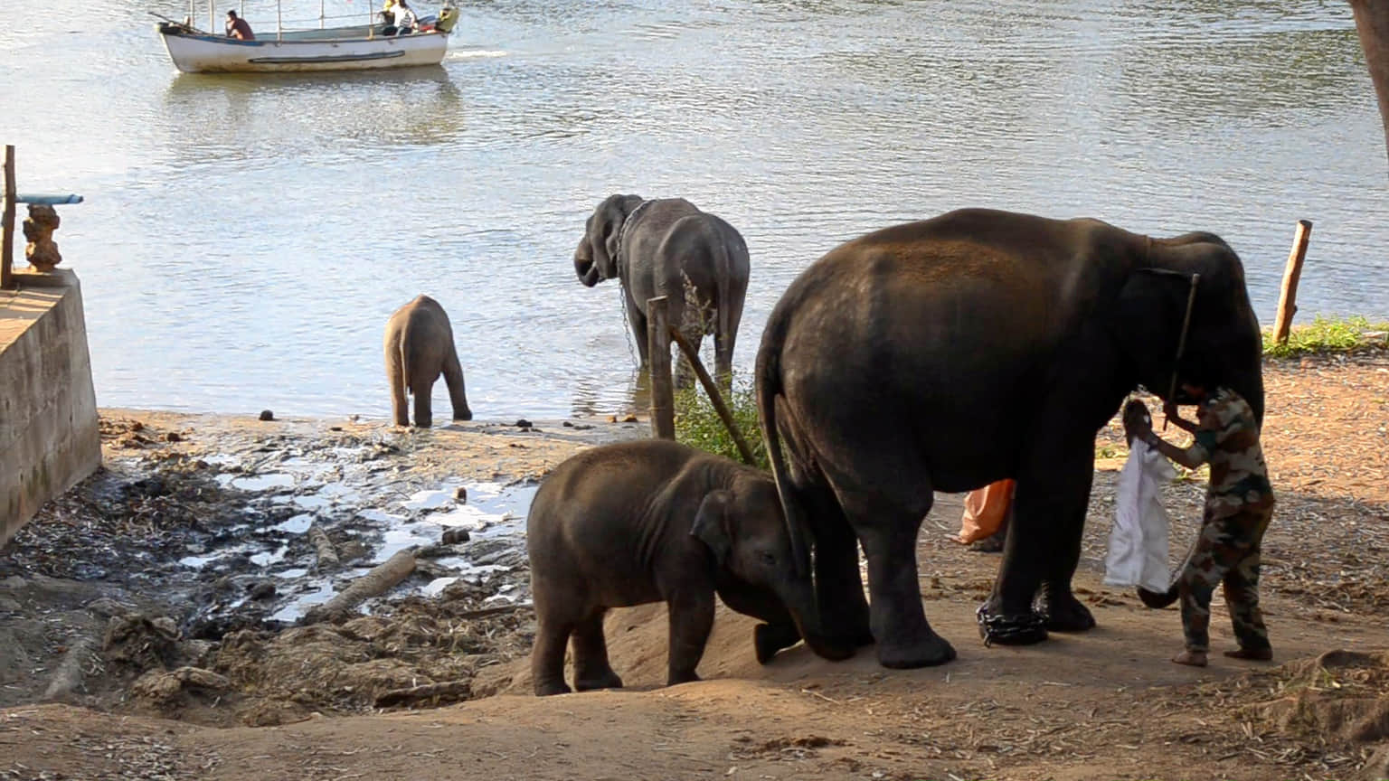Photo from Rati Gill's trip