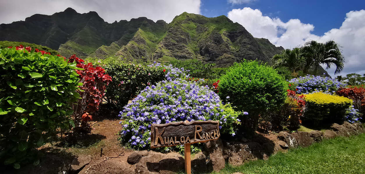 Taste of Kualoa, Movie Sites, and Jungle Expedition Image
