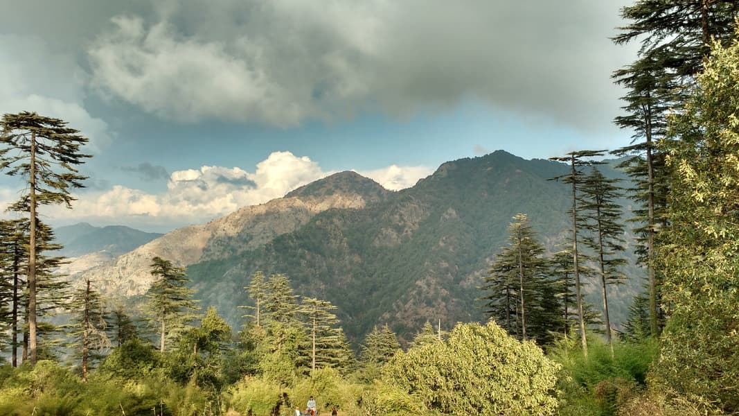 Rishikesh Lansdowne with Chopta Tour Image