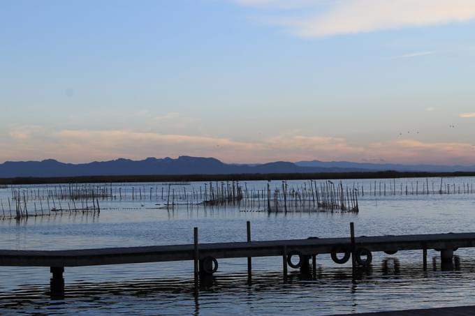 Albufera Valencia Tour