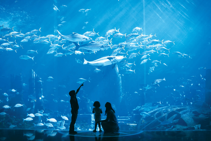 Lost Chambers Aquarium Dubai