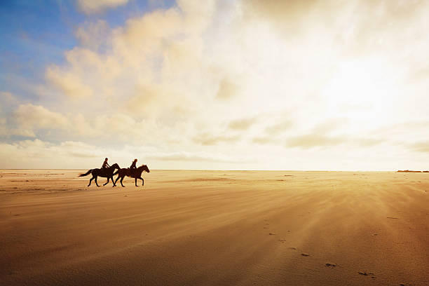 Dubai Desert Safari