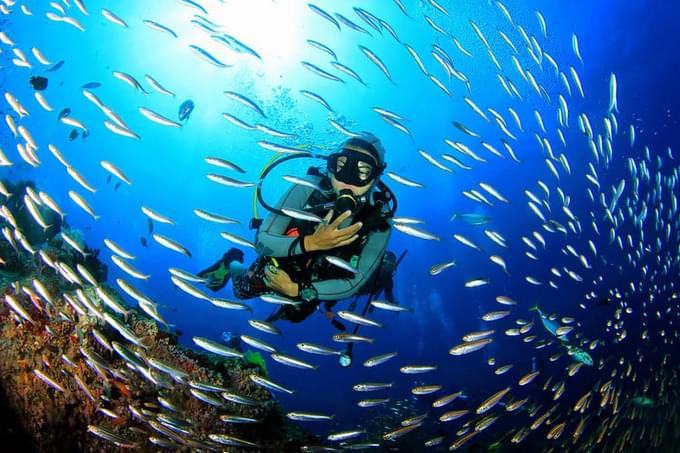 Tarpoon Lagoon Diving Center.jpg