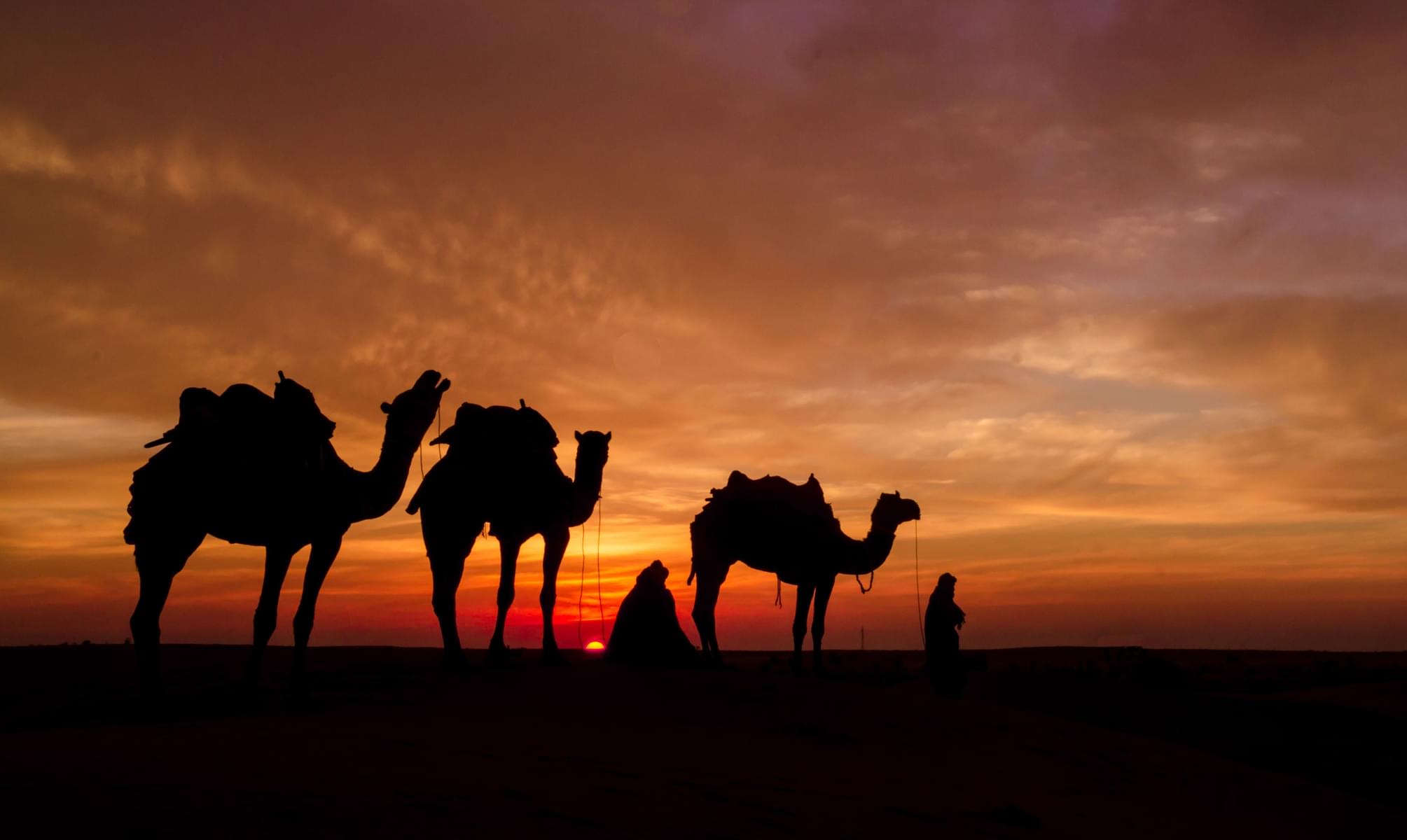 Evening Desert Safari Abu Dhabi