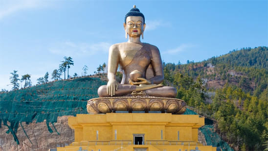 Witness the majestic Buddha Statue
