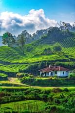 Aqxnorbysjiyytulgpkd753wcxga shutterstock 2487849381