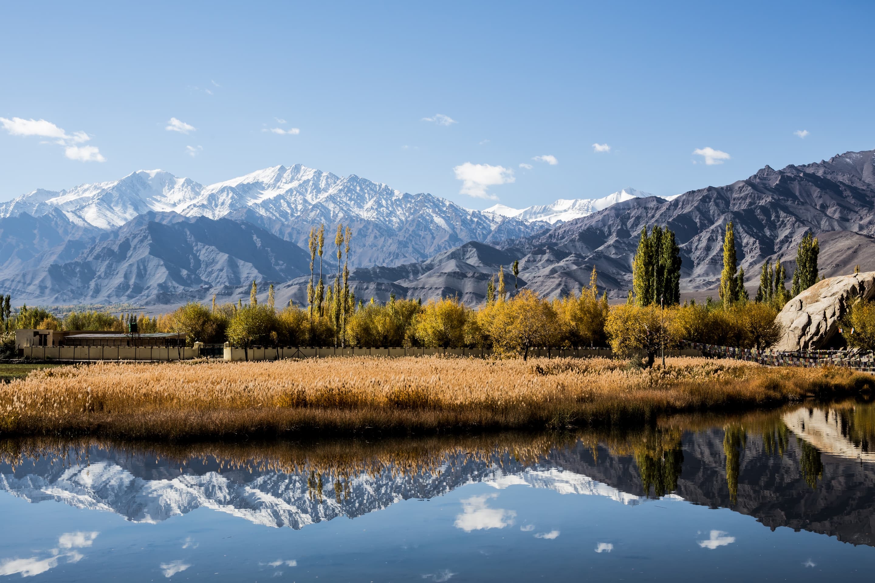 Activities to do in Ladakh