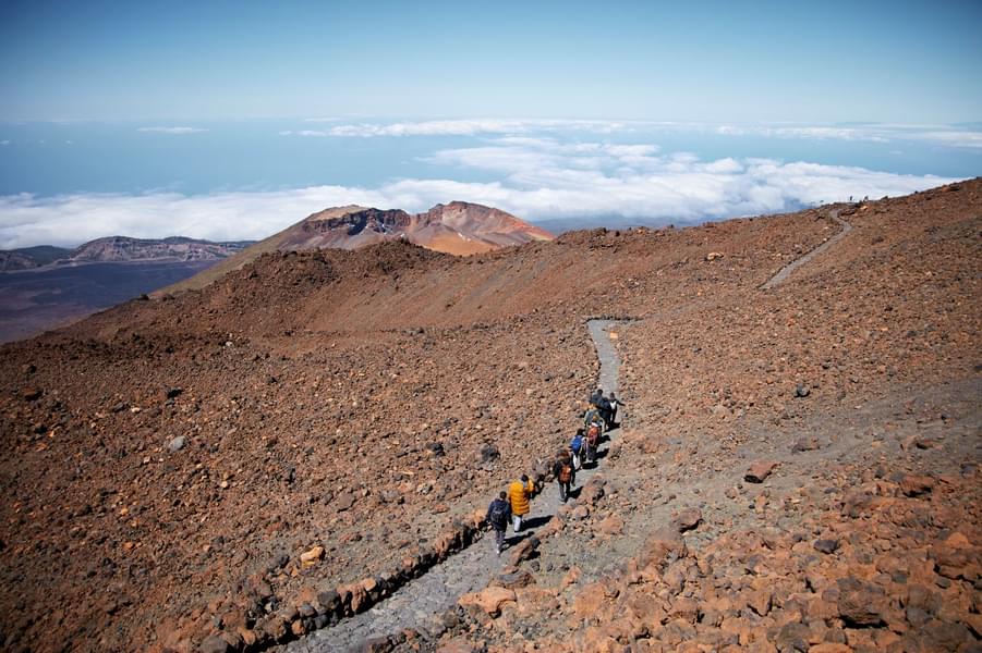 Mount Teide Crater Tour with Cable Car Image
