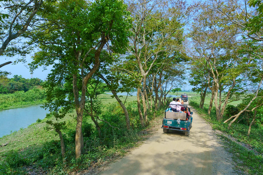 Jeep Safari Tour Of Kaziranga National Park Image