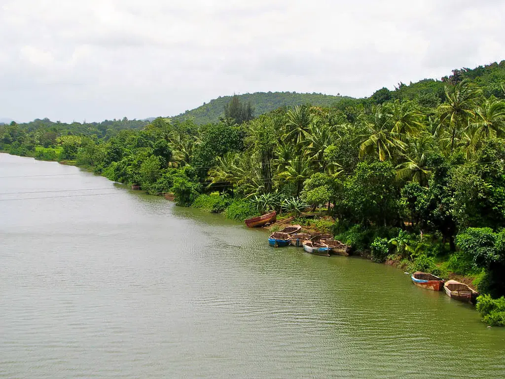 Karli Backwaters