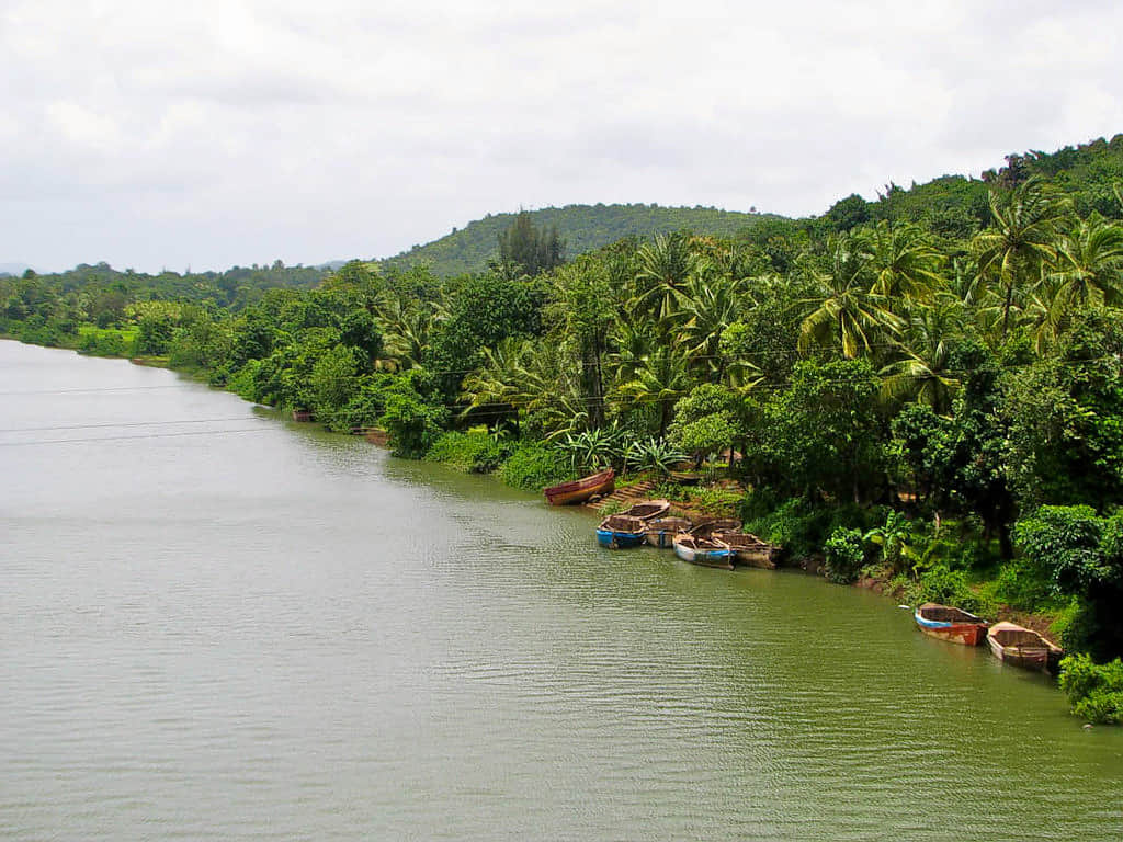 Karli Backwaters, <em>Tarkarli</em>