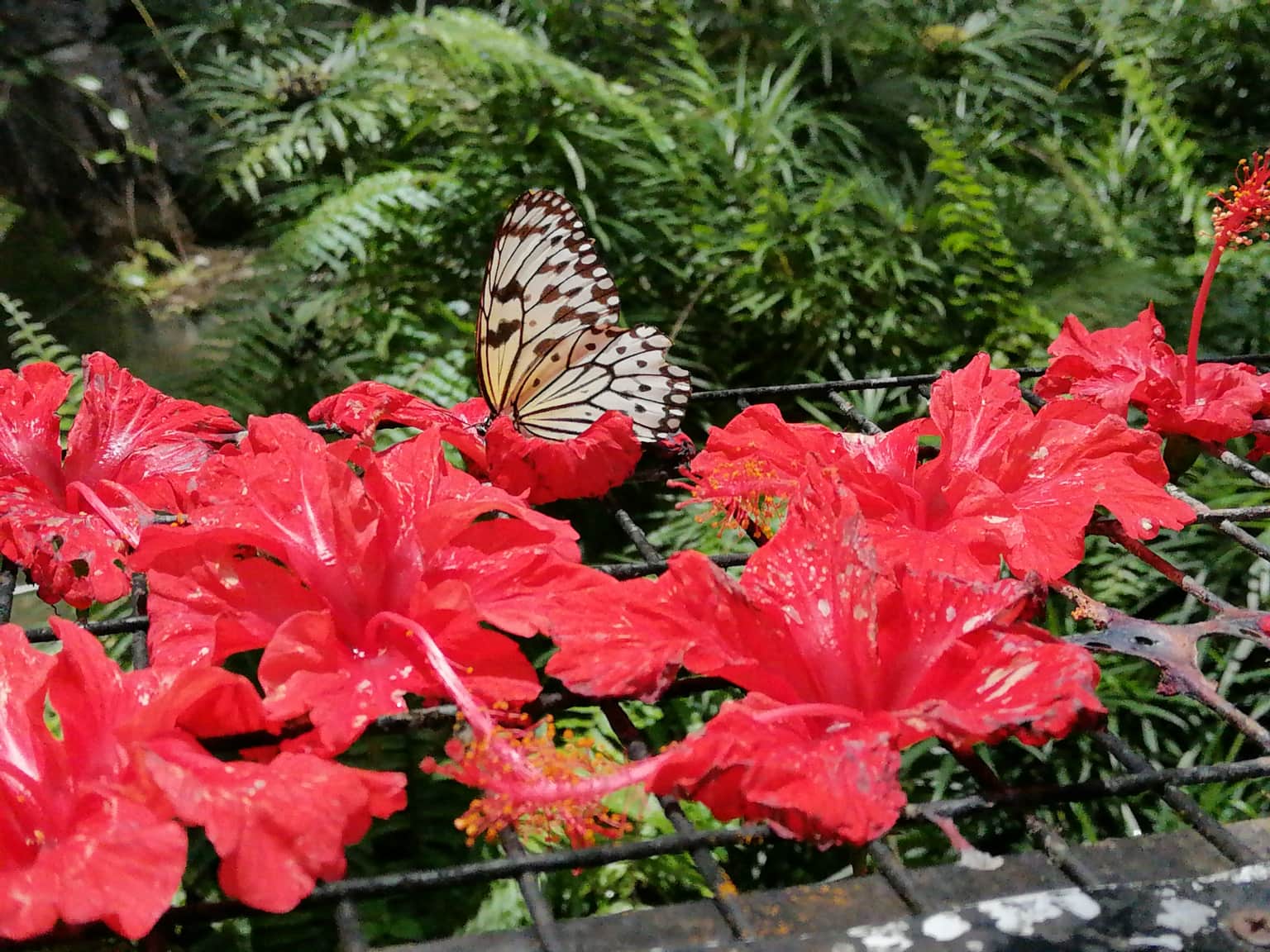 Photo from Sherry Valarie's trip