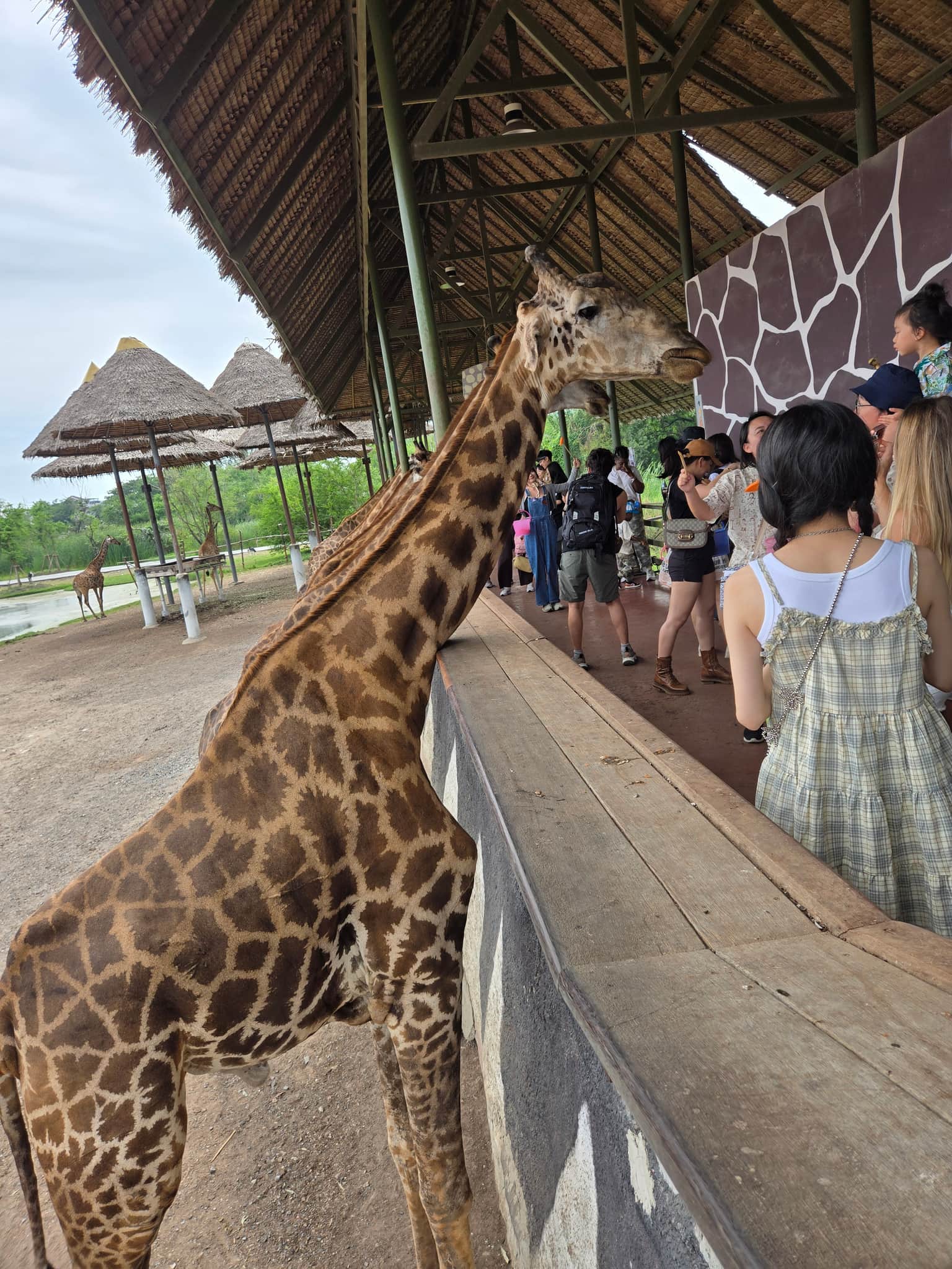 Photo from Joanna Chen's trip