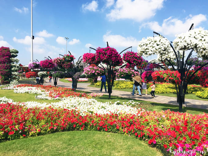 Dubai Miracle Garden