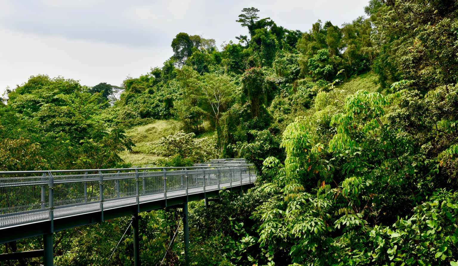 Kent Ridge Park