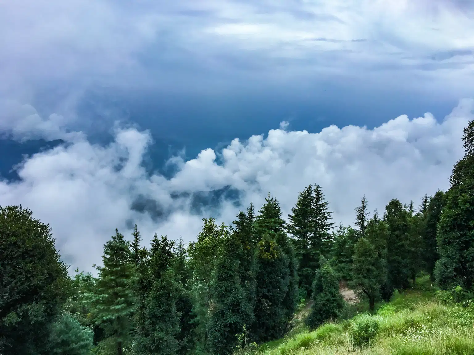 Naldehra Mashobra Sightseeing Tour