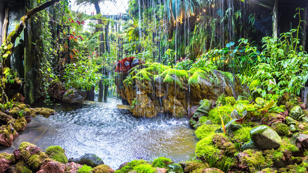 Universal Studios Singapore and Gardens by the Bay Combo Tickets Image