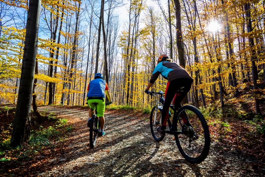 Nature Trail Cycle Tour Image