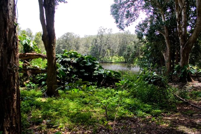 Currumbin Wildlife Sanctuary