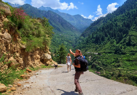Activity & SightSeeing Image