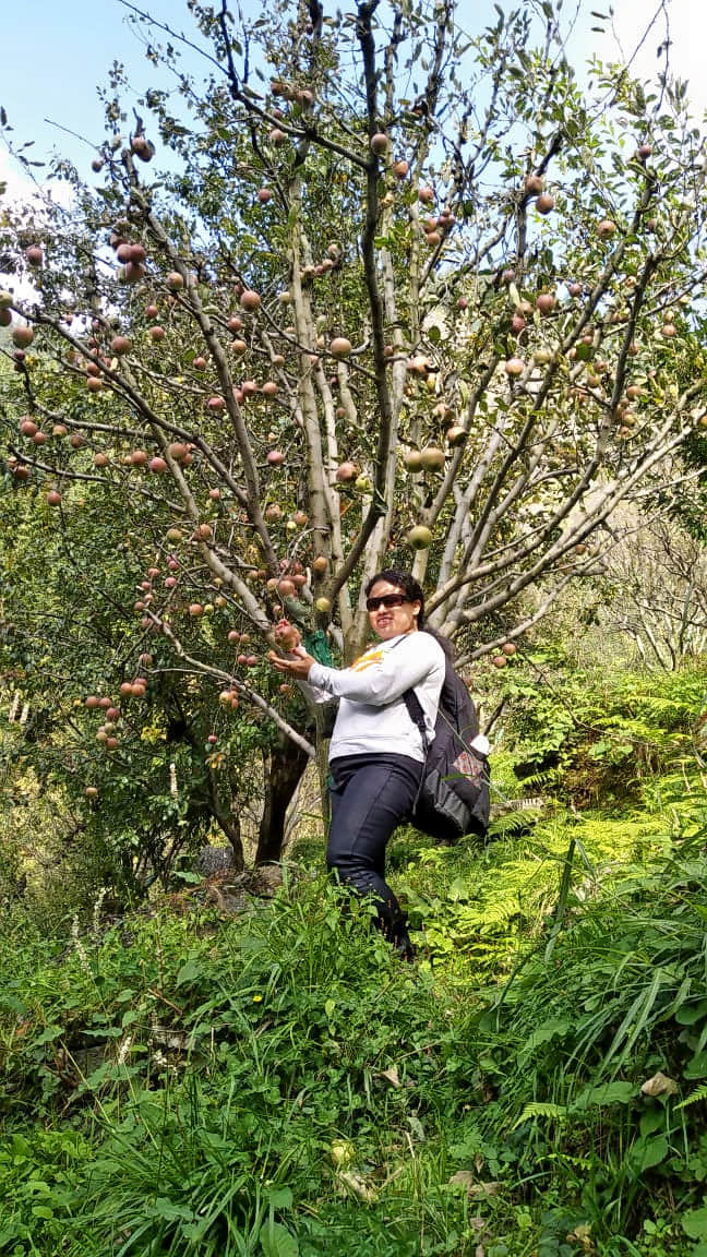 Photo from Sujita Mog's trip