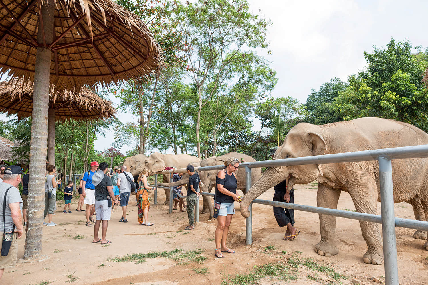 Samui Elephant Sanctuary, <em>Koh Samui</em>