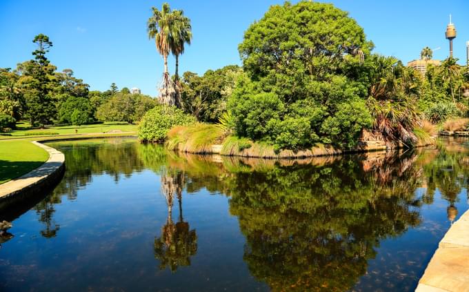 Botanic Gardens Sydney