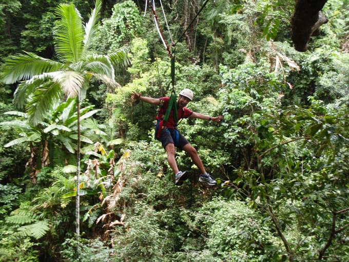 Zipline Gold Coast