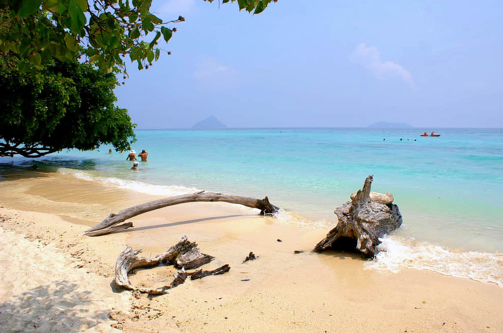 Pak Bia Island, <em>Krabi</em>
