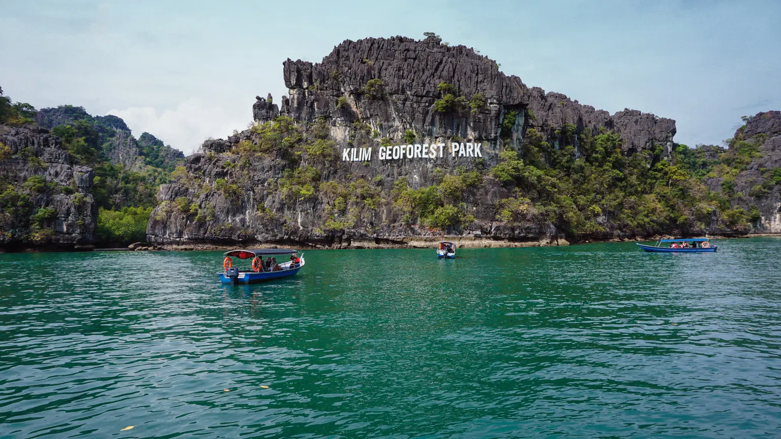 Mangrove Safari