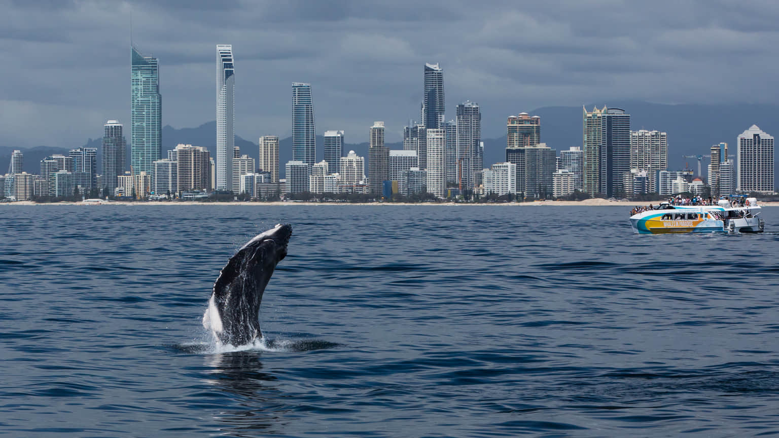 <em>Gold Coast</em> Tour Packages From Nagpur